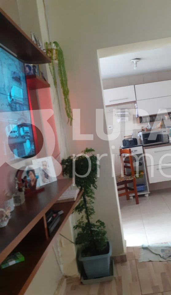 casa-terrea-venda-sao-paulo-santa-teresinha-3dormitorios-120m2-LS38805