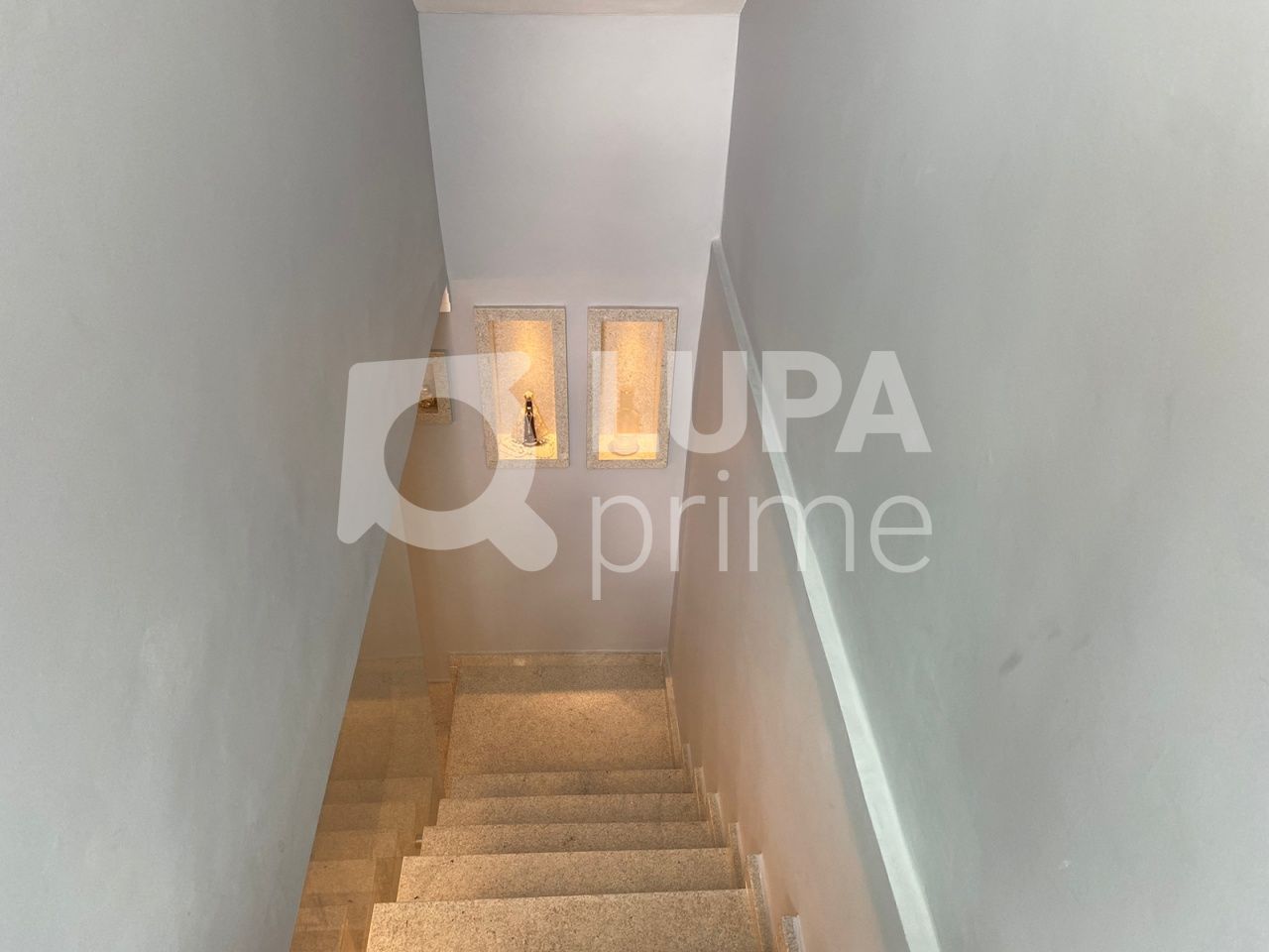 sobrado-venda-sao-paulo-parque-vitoria-2dormitorios-1suite-1vaga-80m2-LS38877