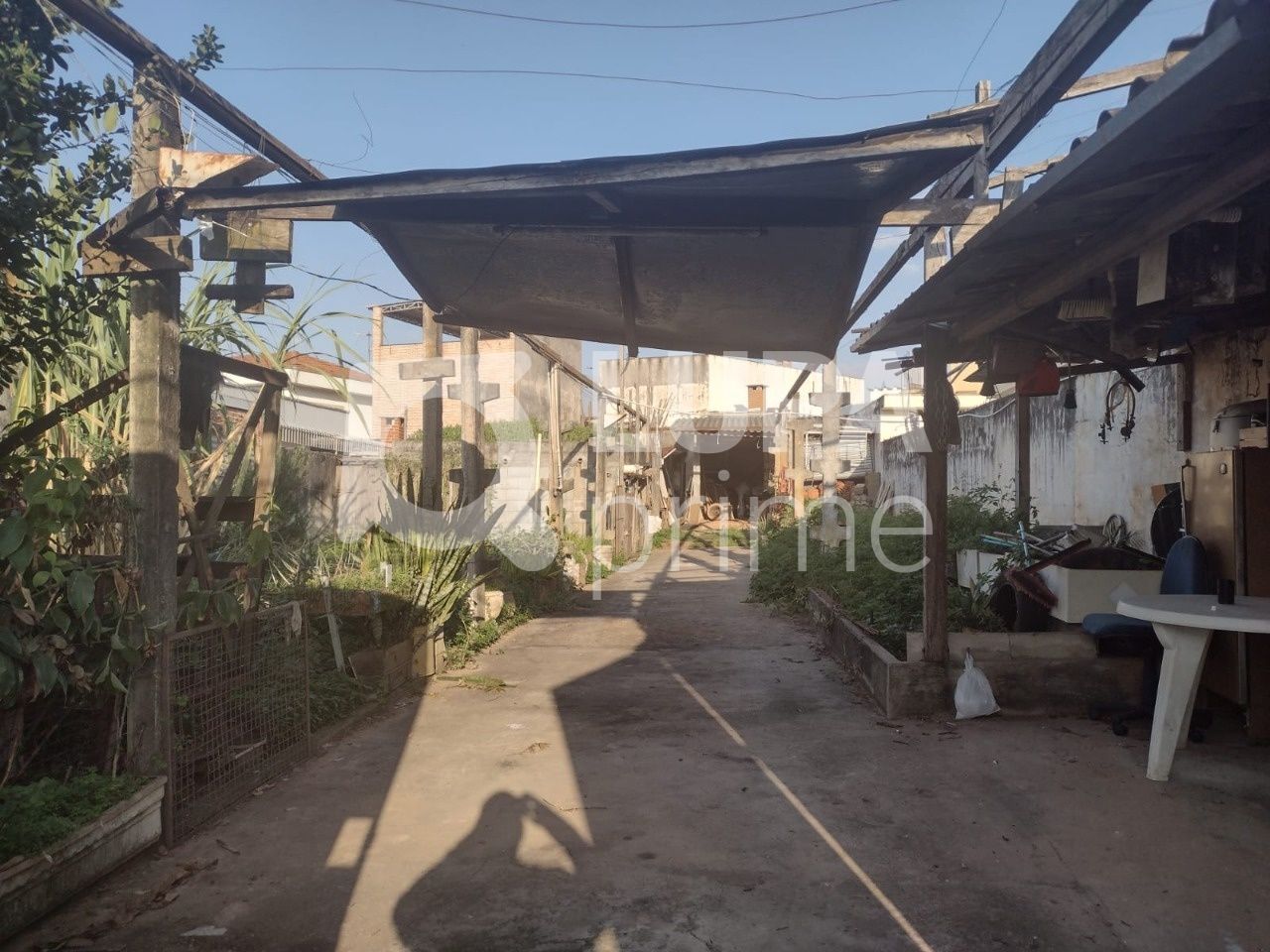 terreno-venda-sao-paulo-jardim-apuana-333m2-LS38890