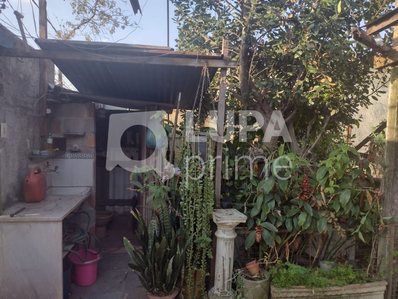 terreno-venda-sao-paulo-jardim-apuana-333m2-LS38890