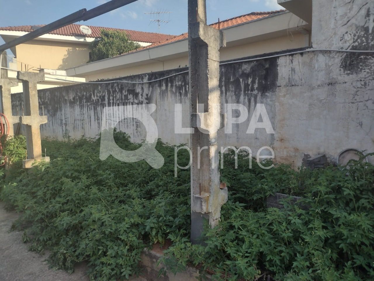 terreno-venda-sao-paulo-jardim-apuana-333m2-LS38890