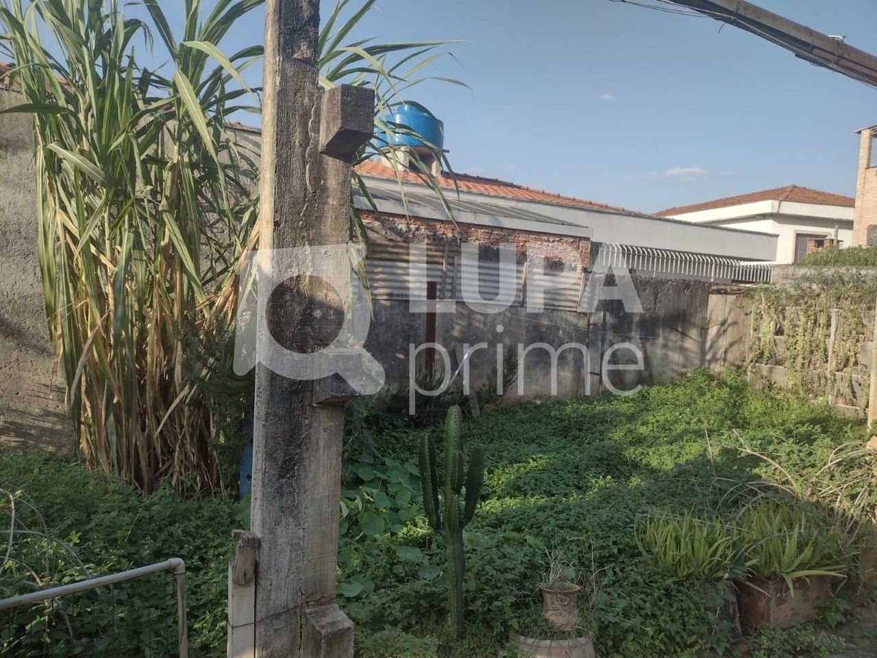 terreno-venda-sao-paulo-jardim-apuana-333m2-LS38890