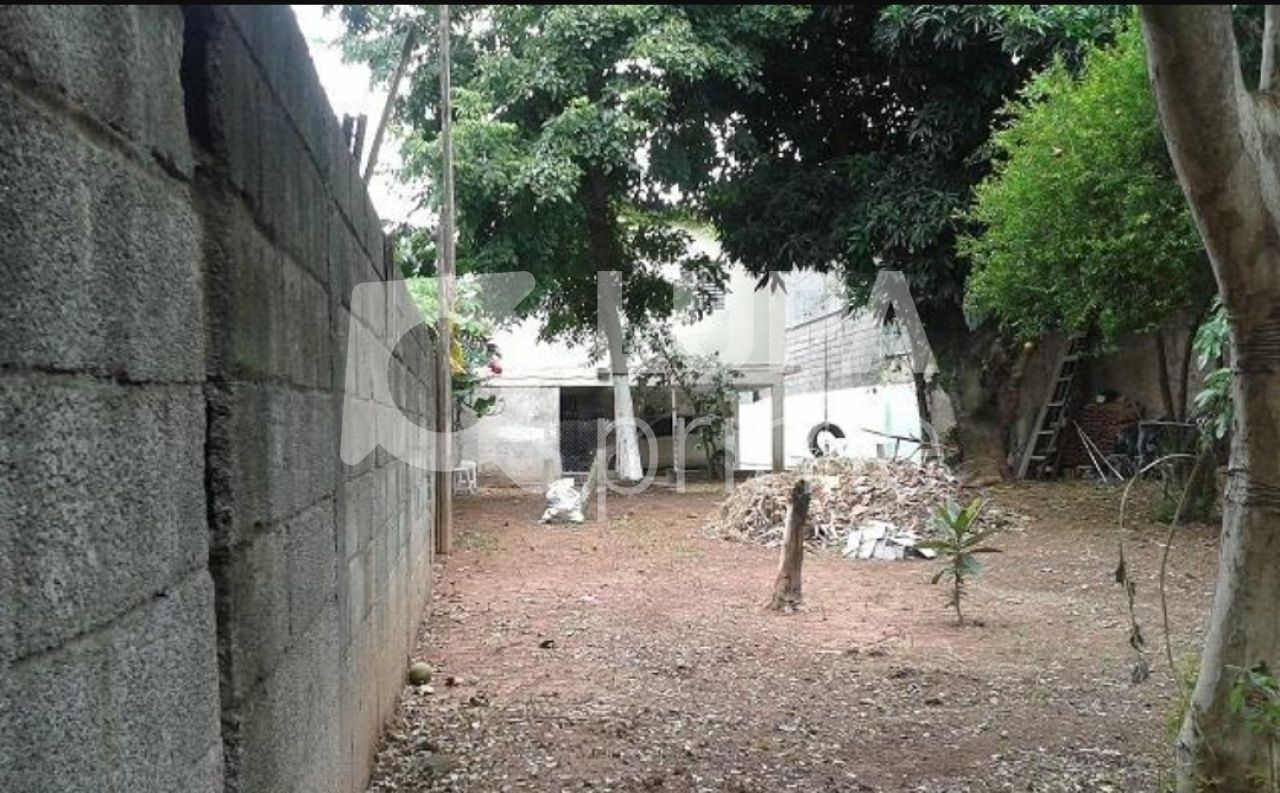 terreno-venda-sao-paulo-jardim-peri-novo-530m2-LS38900