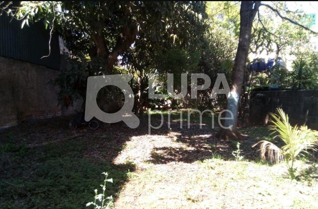 terreno-venda-sao-paulo-jardim-peri-novo-530m2-LS38900