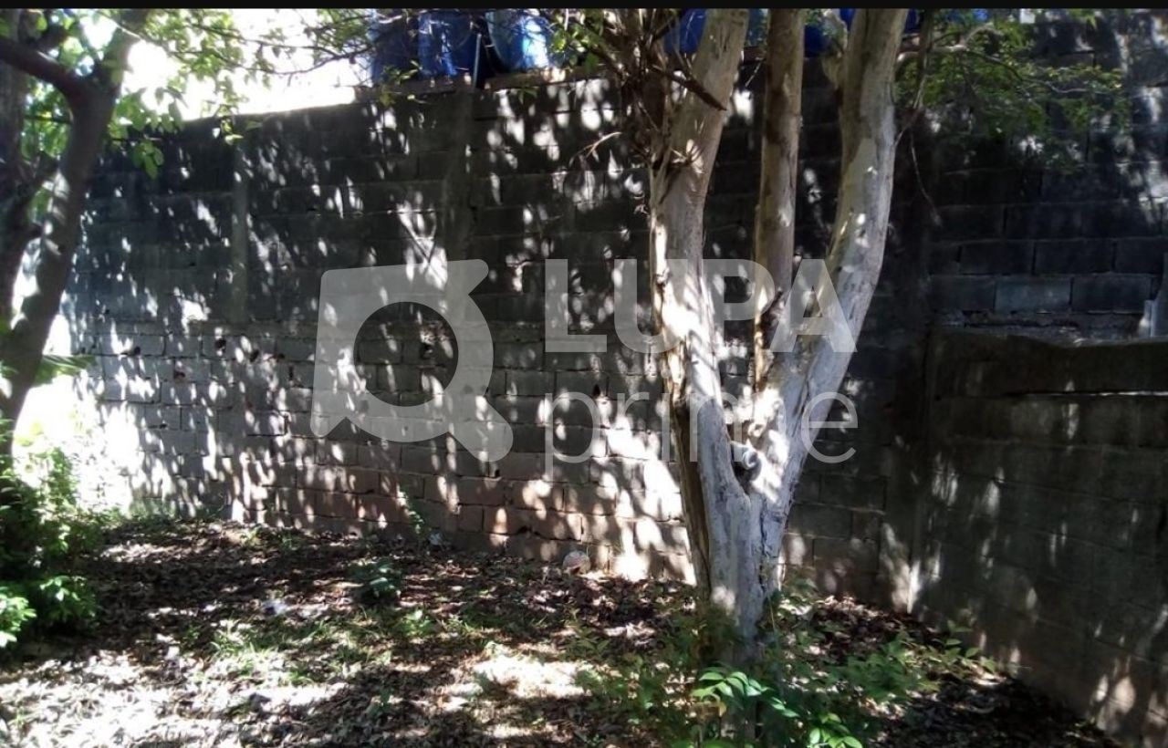 terreno-venda-sao-paulo-jardim-peri-novo-530m2-LS38900