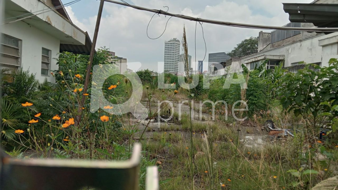 terreno-venda-sao-paulo-tucuruvi-LS38908