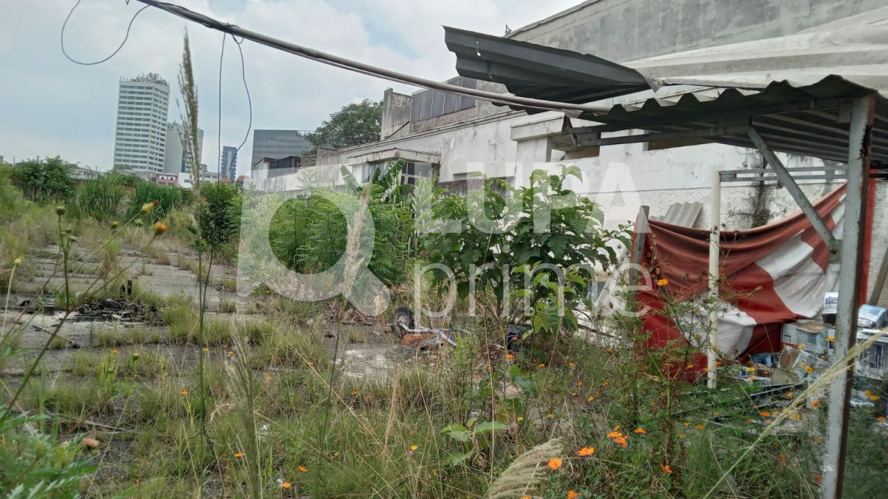 terreno-venda-sao-paulo-tucuruvi-LS38908