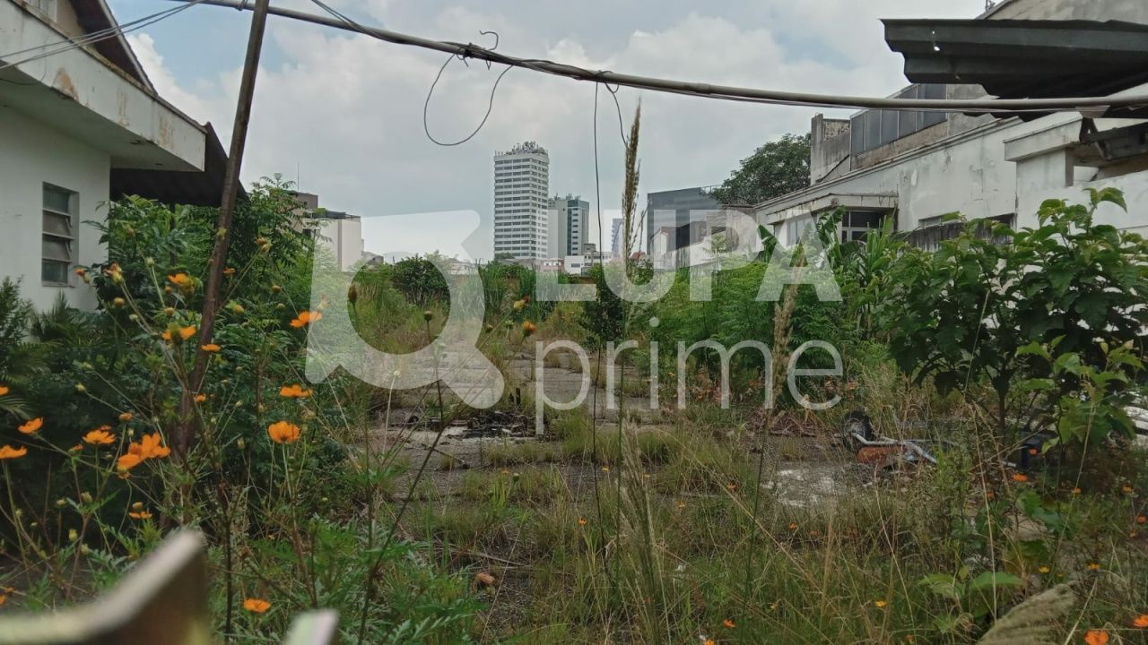 terreno-venda-sao-paulo-tucuruvi-LS38908