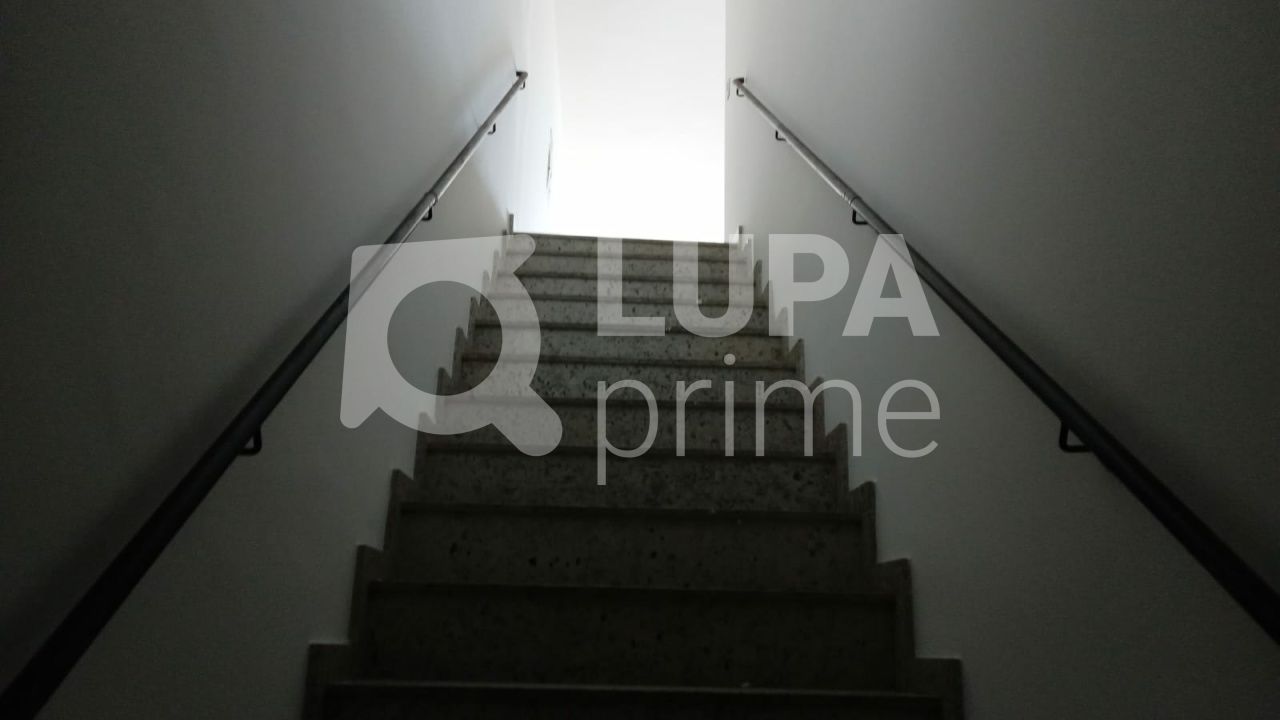 predio-venda-sao-paulo-tucuruvi-15vagas-450m2-LS38912