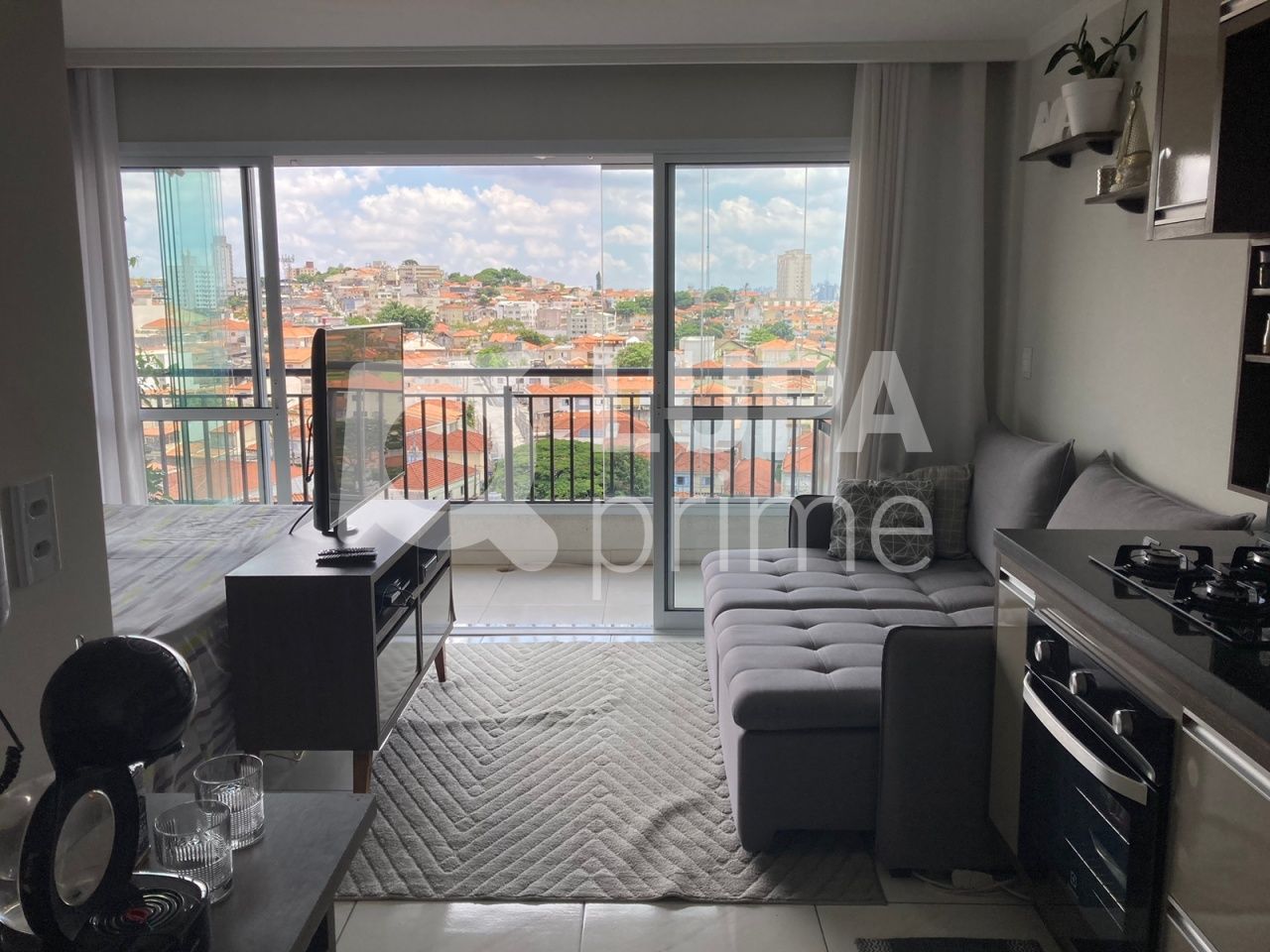 apartamento-venda-sao-paulo-parada-inglesa-1dormitorio-1suite-32m2-LS38966