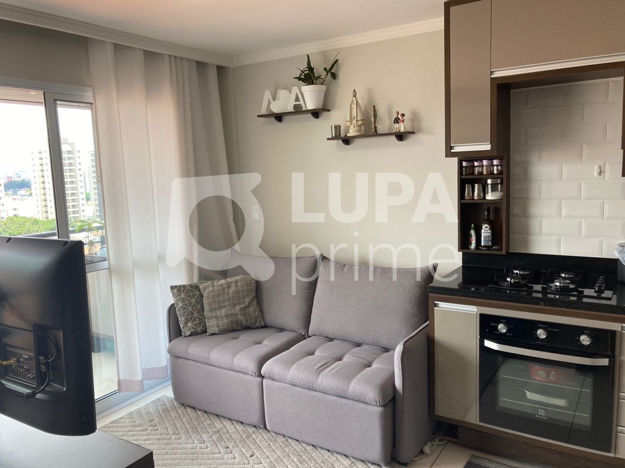 apartamento-venda-sao-paulo-parada-inglesa-1dormitorio-1suite-32m2-LS38966
