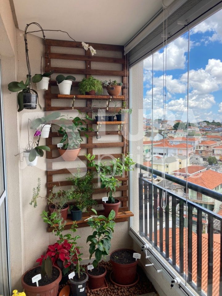 apartamento-venda-sao-paulo-parada-inglesa-1dormitorio-1suite-32m2-LS38966