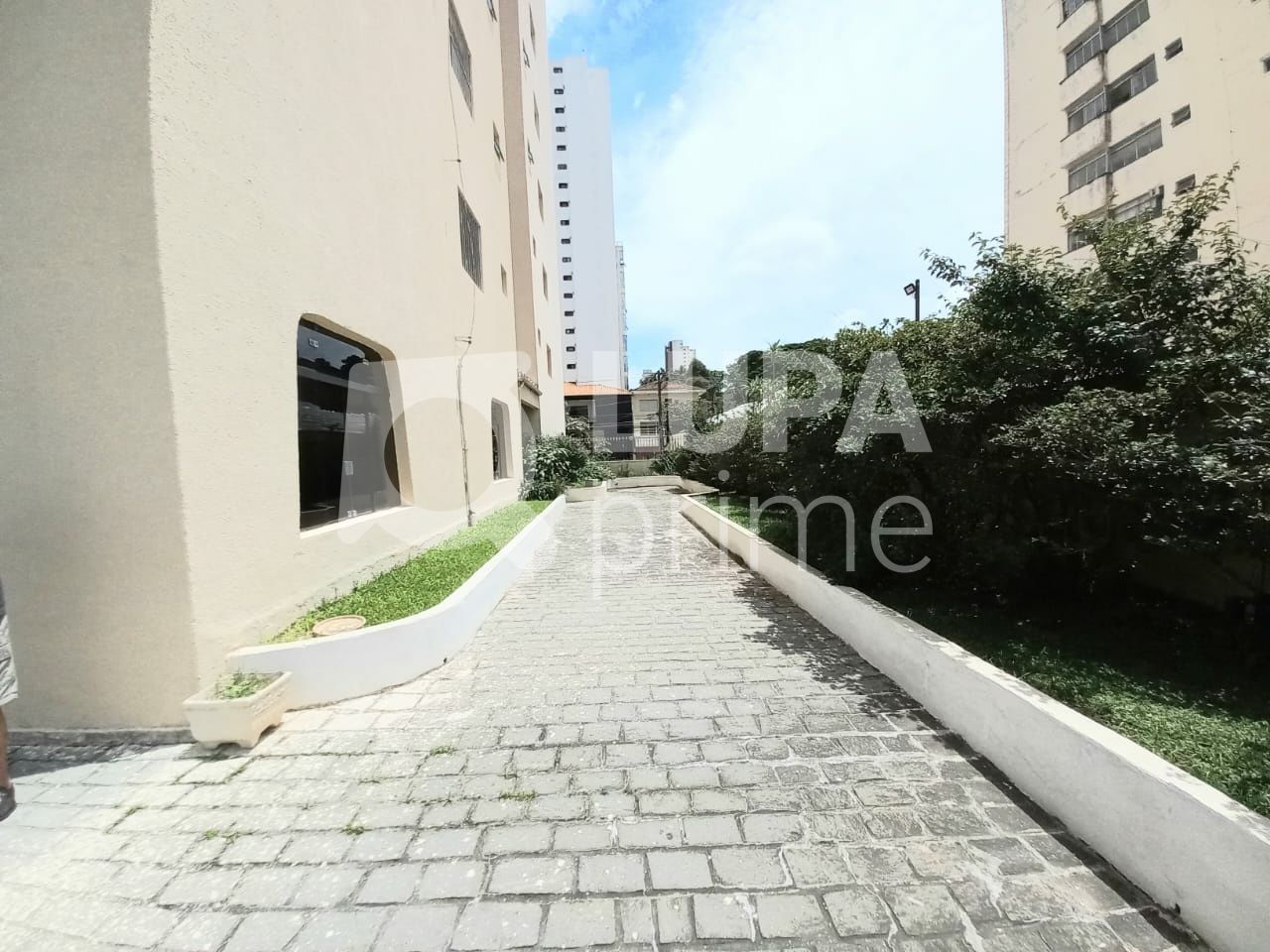 apartamento-venda-sao-paulo-santana-3dormitorios-74m2-LS38986