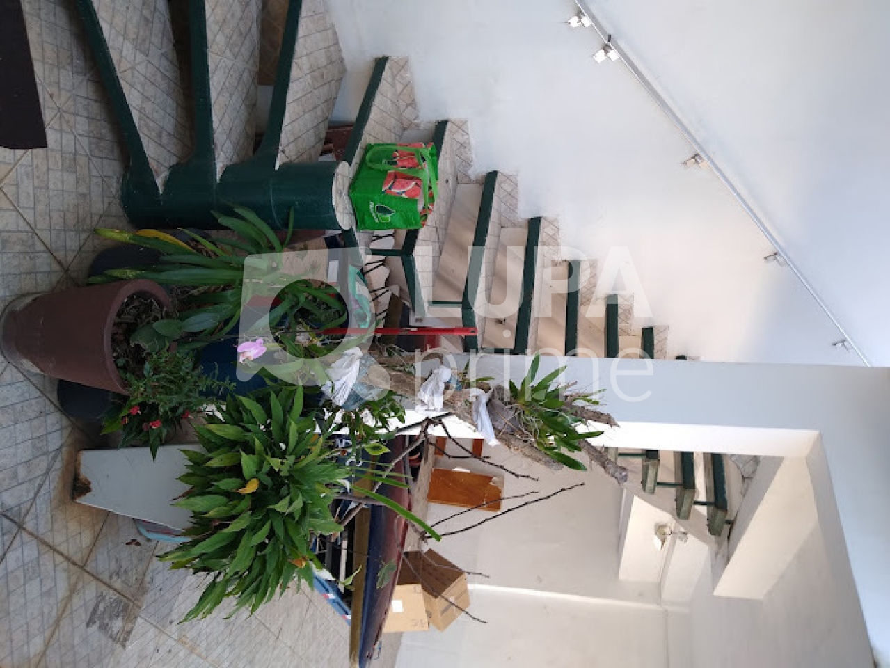 sobrado-venda-sao-paulo-vila-pauliceia-3dormitorios-200m2-LS39009