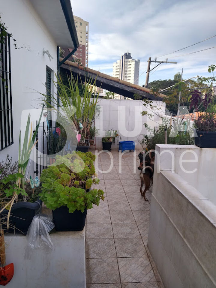 sobrado-venda-sao-paulo-vila-pauliceia-3dormitorios-200m2-LS39009