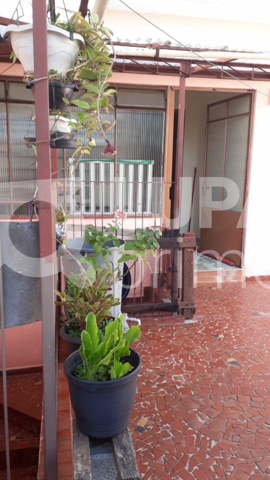 sobrado-venda-sao-paulo-jardim-dos-francos-4dormitorios-200m2-LS39060