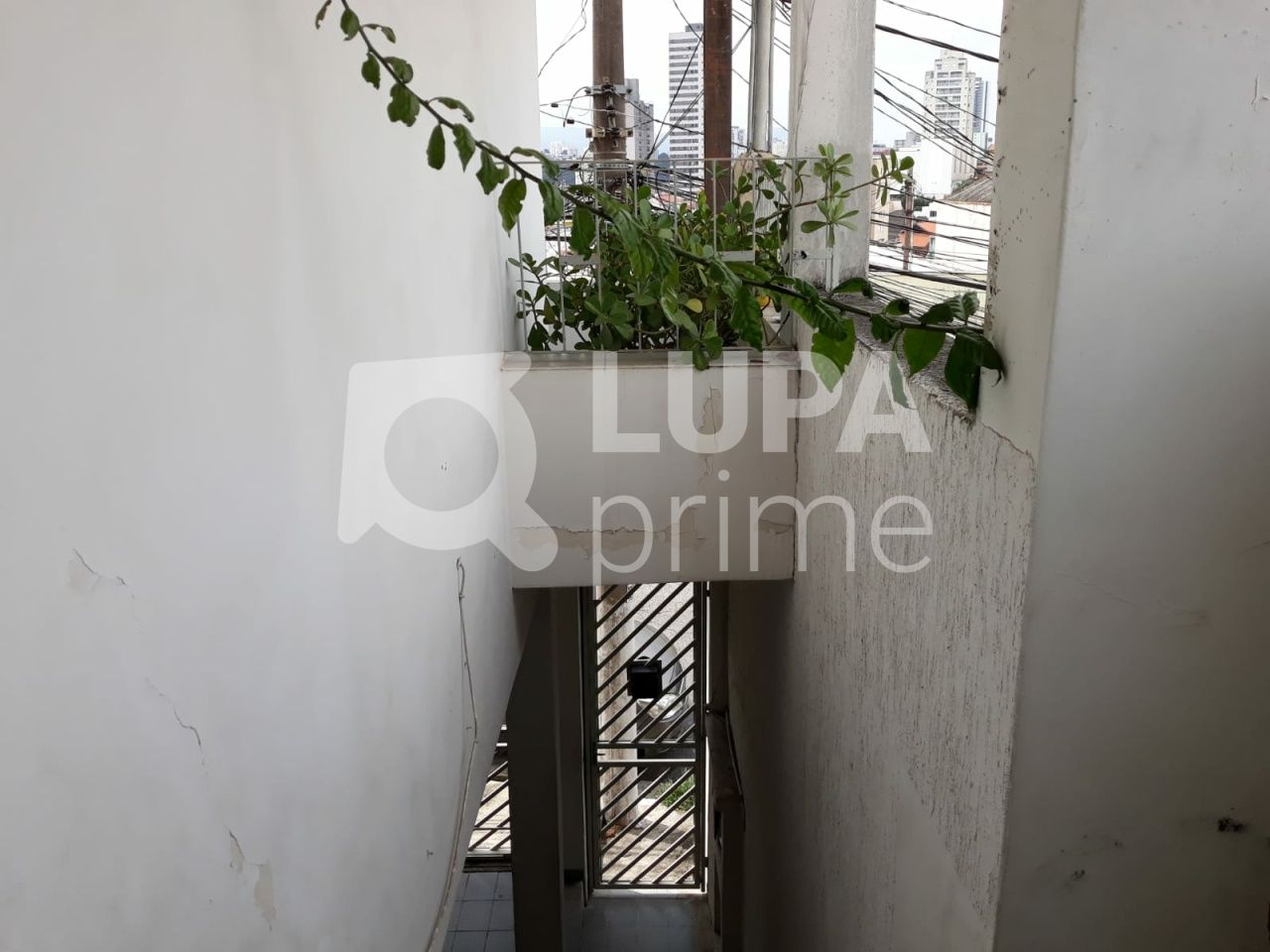 sobrado-venda-sao-paulo-parada-inglesa-3dormitorios-1suite-2vagas-179m2-LS39094