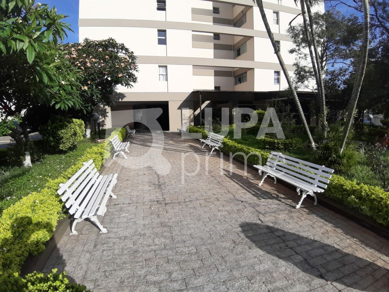 apartamento-venda-sao-paulo-vila-aurora-zona-norte-3dormitorios-1suite-1vaga-73m2-LS39096