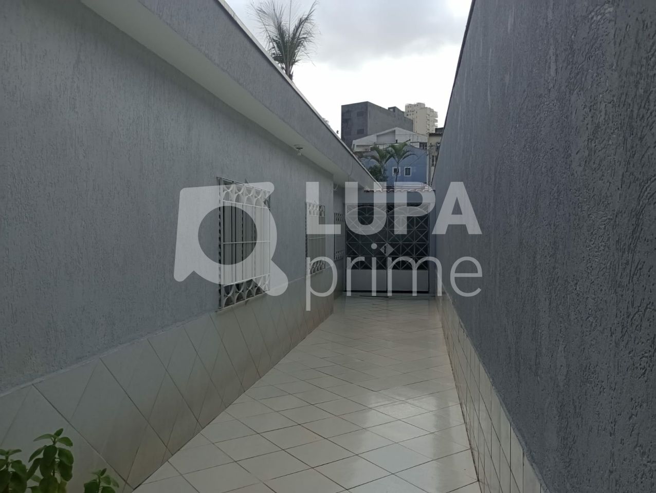 casa-terrea-venda-sao-paulo-vila-maria-alta-3dormitorios-1suite-8vagas-400m2-LS39107