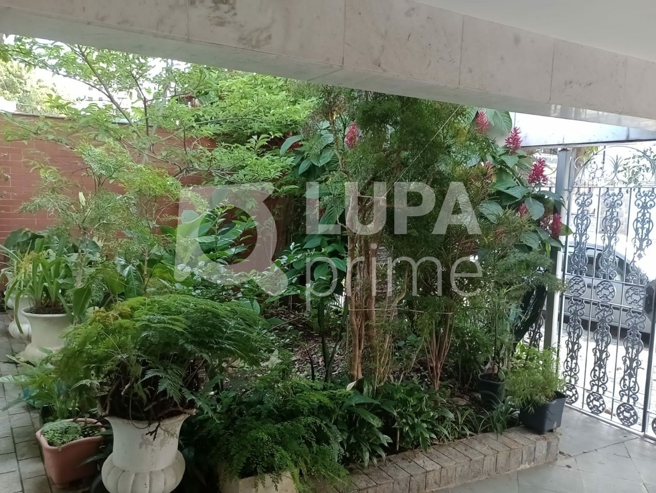 casa-terrea-venda-sao-paulo-vila-maria-alta-3dormitorios-1suite-8vagas-400m2-LS39107