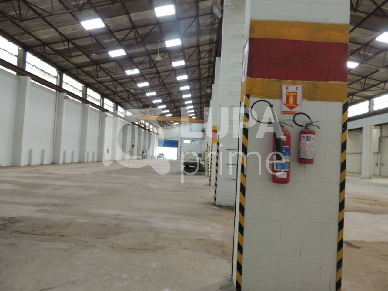 Depósito-Galpão, 4000 m² - Foto 5