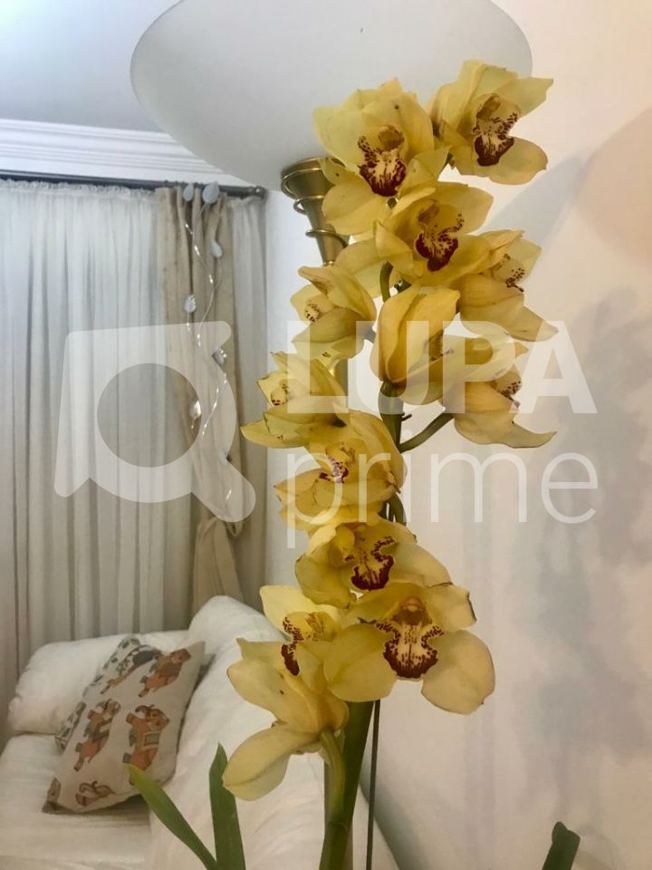 apartamento-venda-sao-paulo-santana-3dormitorios-1suite-2vagas-78m2-LS39201