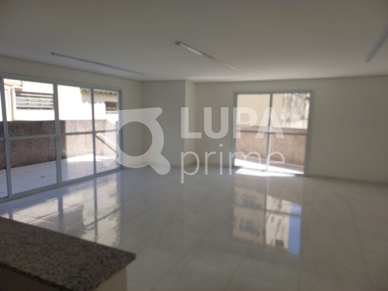 apartamento-venda-sao-paulo-parada-inglesa-2dormitorios-1vaga-49m2-LS39235