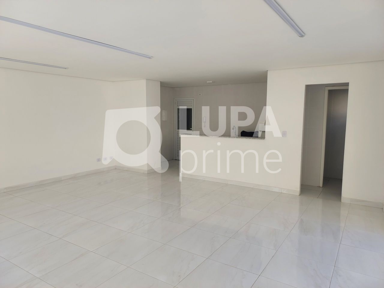 apartamento-venda-sao-paulo-parada-inglesa-2dormitorios-1vaga-49m2-LS39235