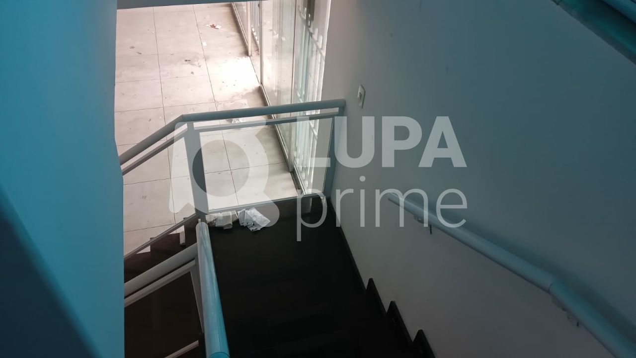 predio-locacao-sao-paulo-parada-inglesa-15vagas-373m2-LS39251
