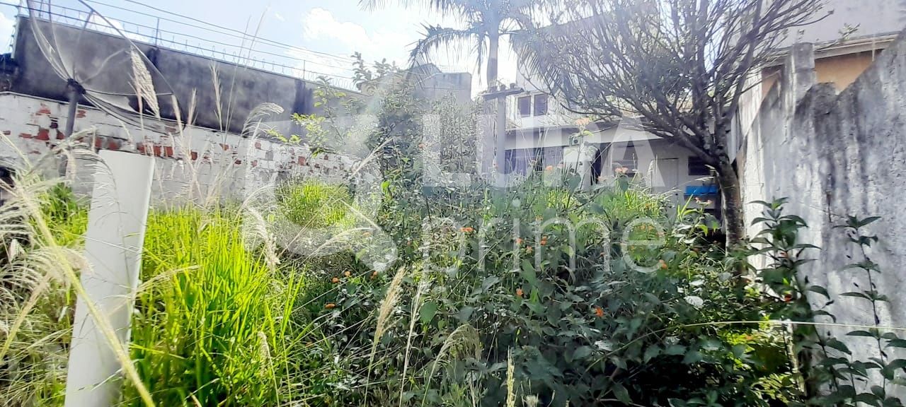 sobrado-venda-sao-paulo-jardim-franca-2dormitorios-3vagas-390m2-LS39265