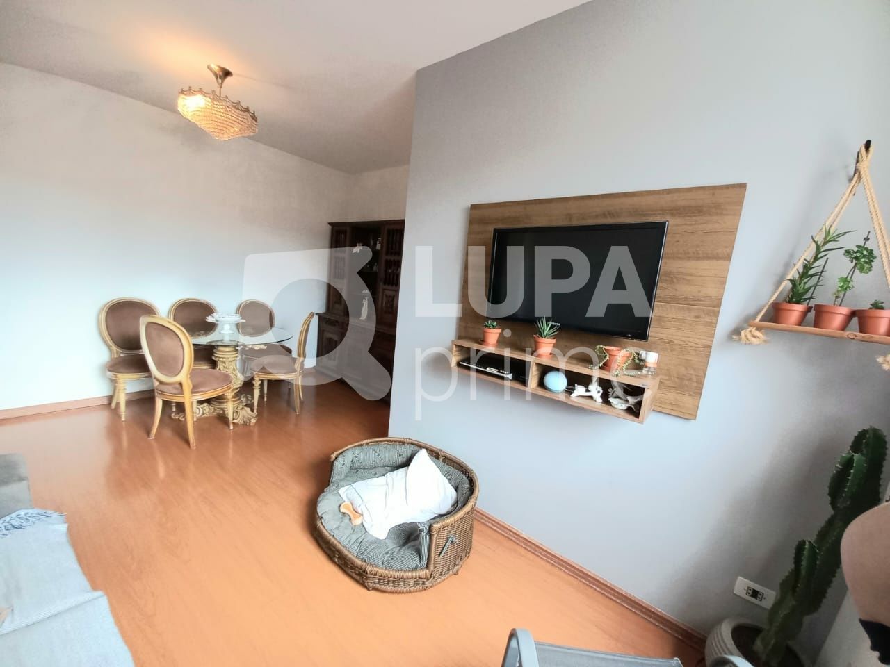 apartamento-venda-sao-paulo-parque-mandaqui-3dormitorios-1suite-1vaga-68m2-LS39266