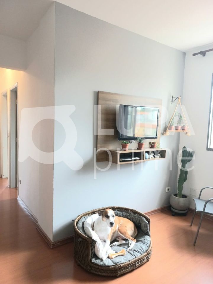 apartamento-venda-sao-paulo-parque-mandaqui-3dormitorios-1suite-1vaga-68m2-LS39266