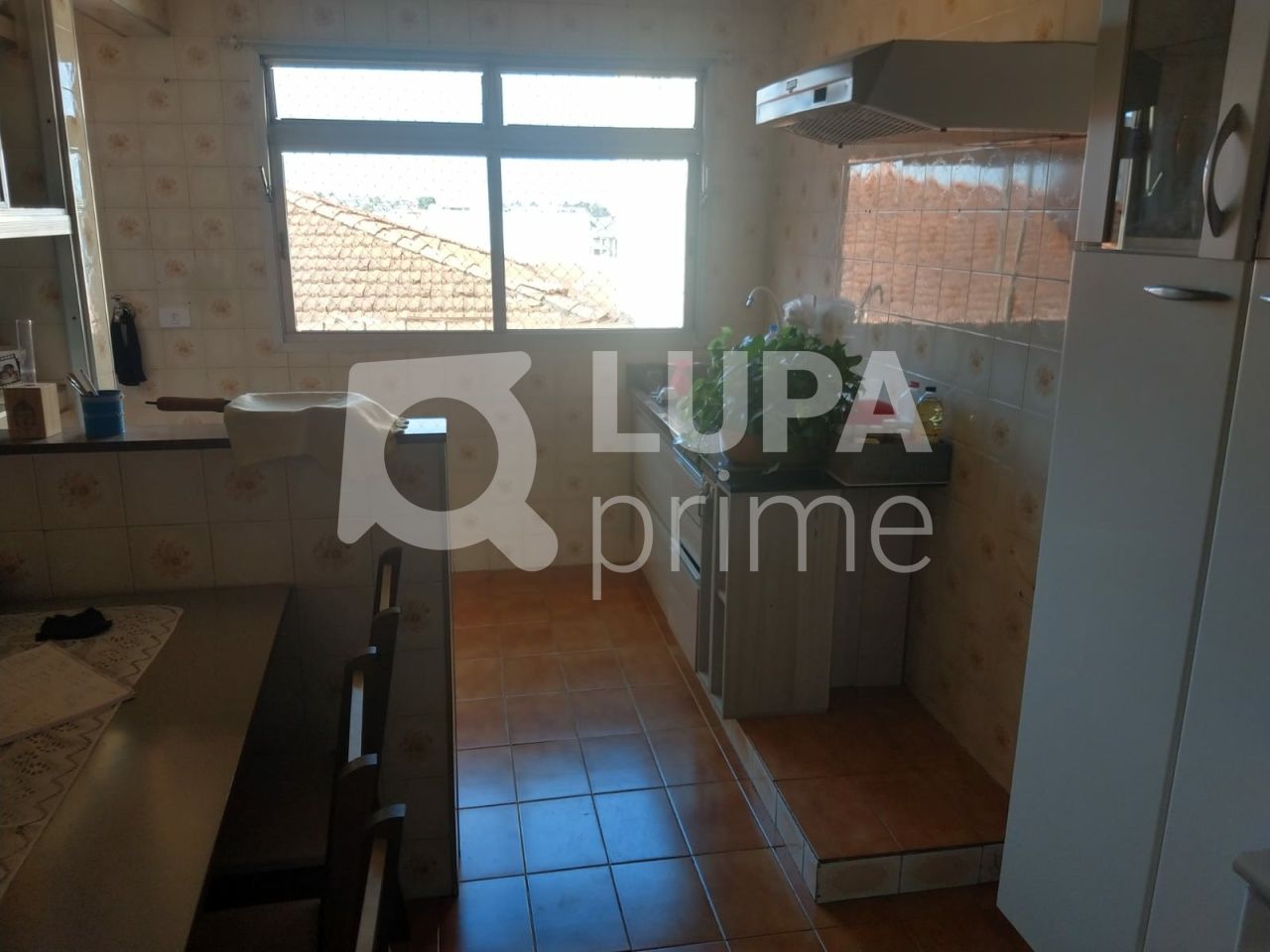 casa-terrea-venda-sao-paulo-parque-sao-luis-8dormitorios-1suite-250m2-LS39302