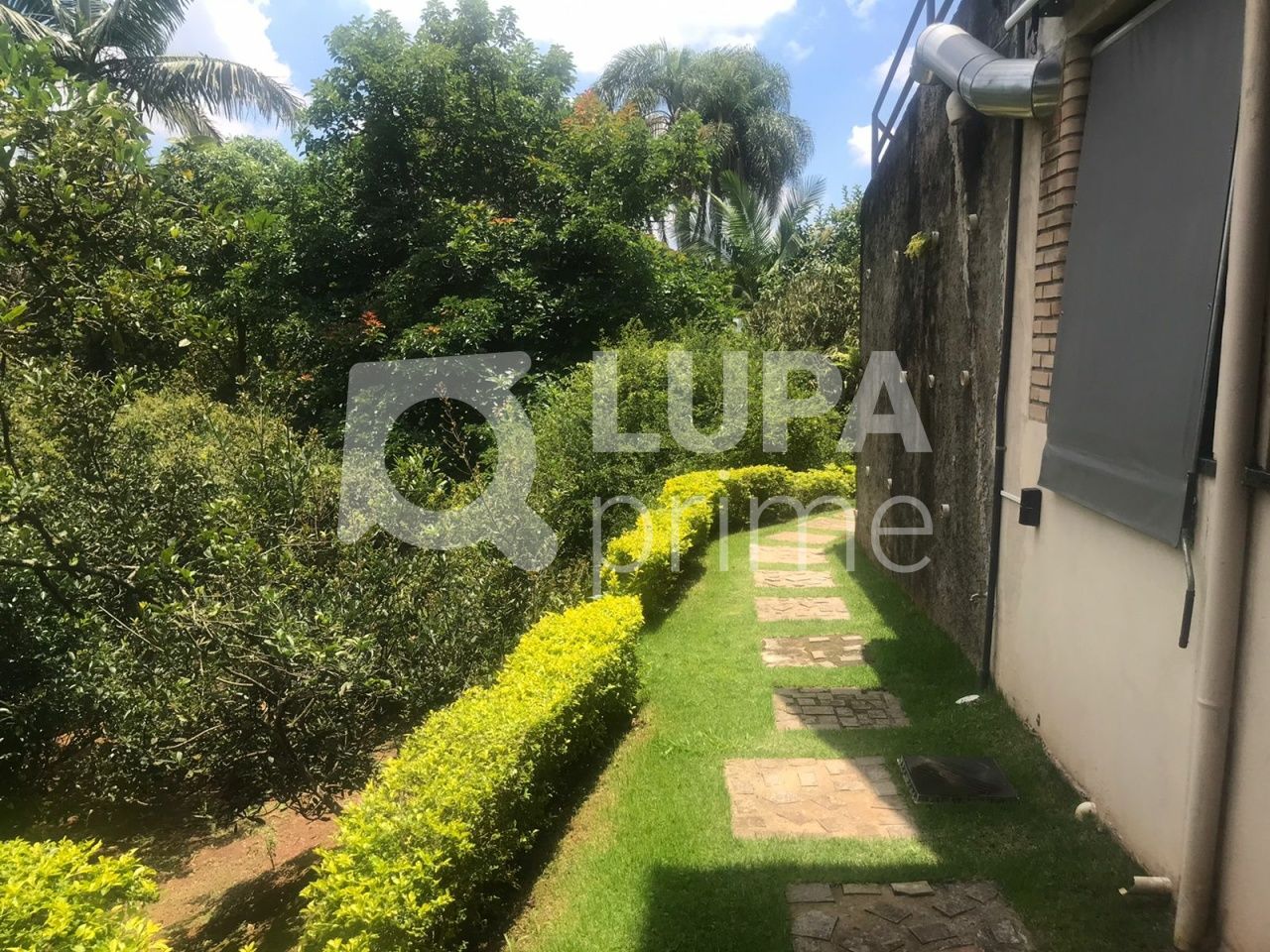 Casa, 4 quartos, 358 m² - Foto 3