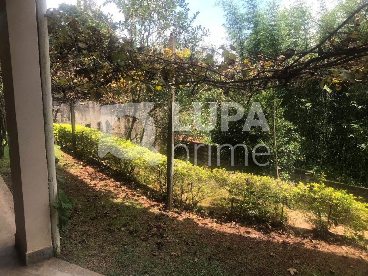 Casa, 4 quartos, 358 m² - Foto 29