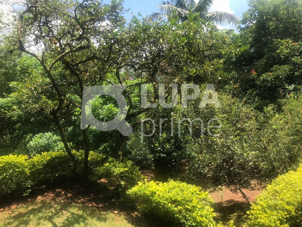 Casa, 4 quartos, 358 m² - Foto 37