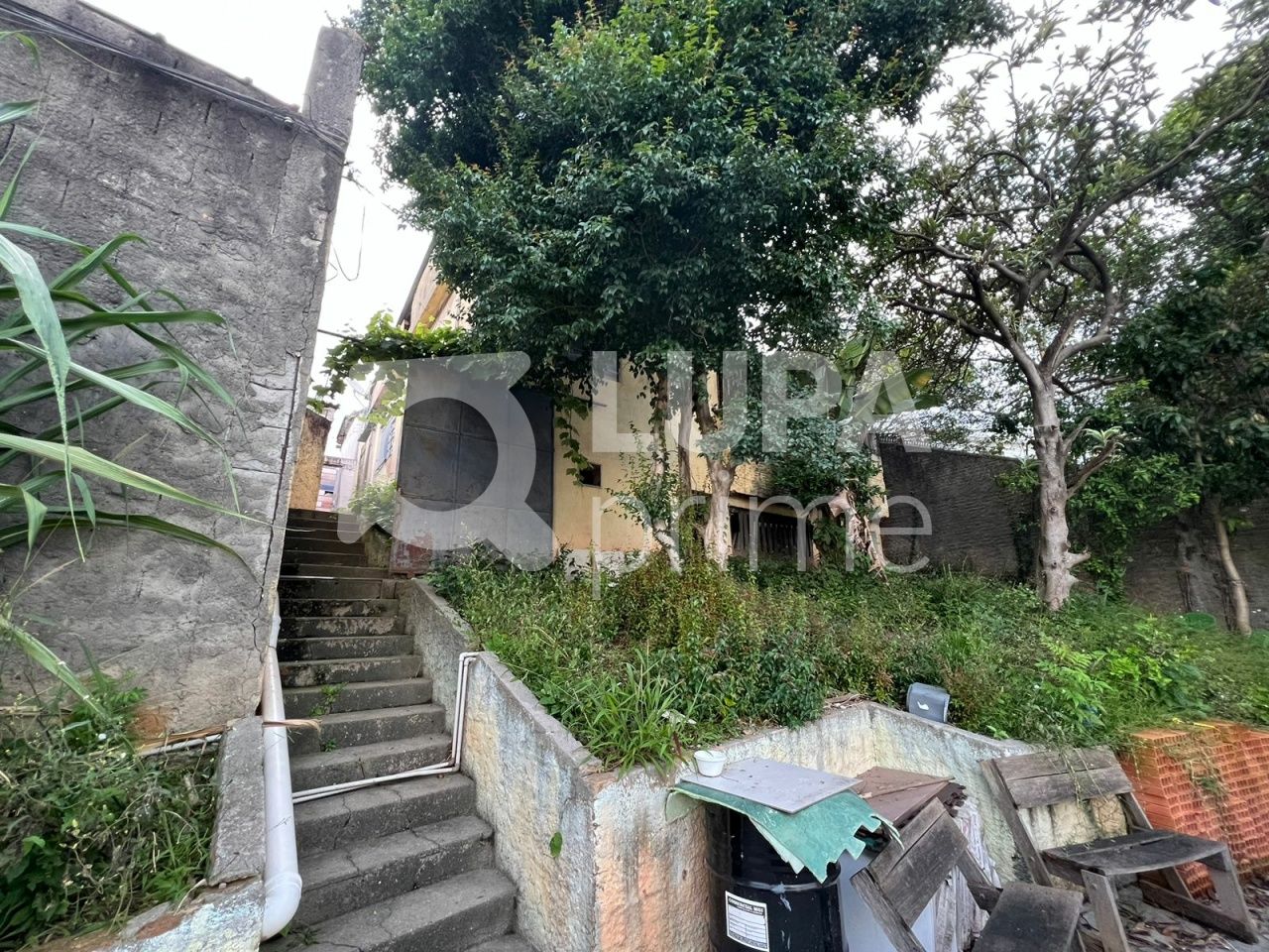 galpao-venda-sao-paulo-casa-verde-alta-1000m2-LS39352