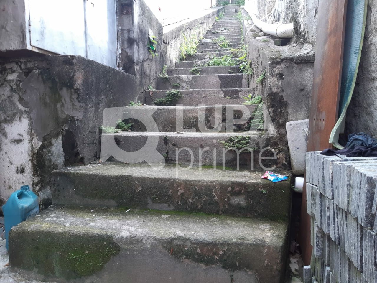 galpao-venda-sao-paulo-casa-verde-alta-1000m2-LS39352