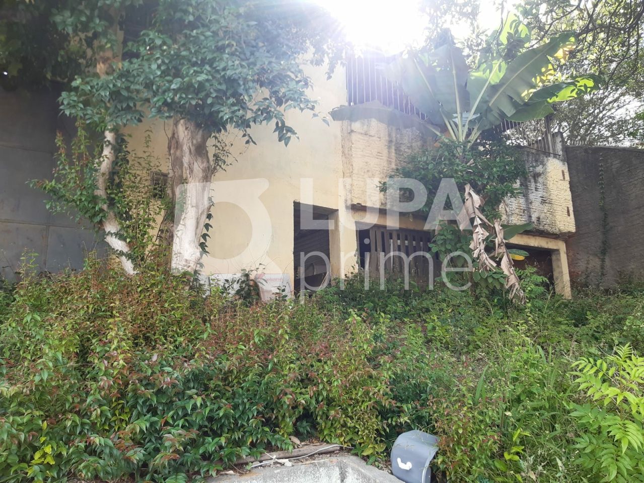 galpao-venda-sao-paulo-casa-verde-alta-1000m2-LS39352