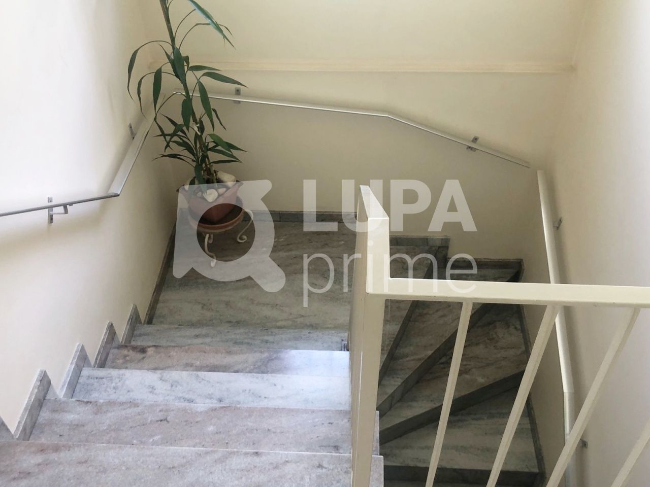 sobrado-venda-sao-paulo-vila-maria-alta-3dormitorios-1suite-4vagas-194m2-LS39373