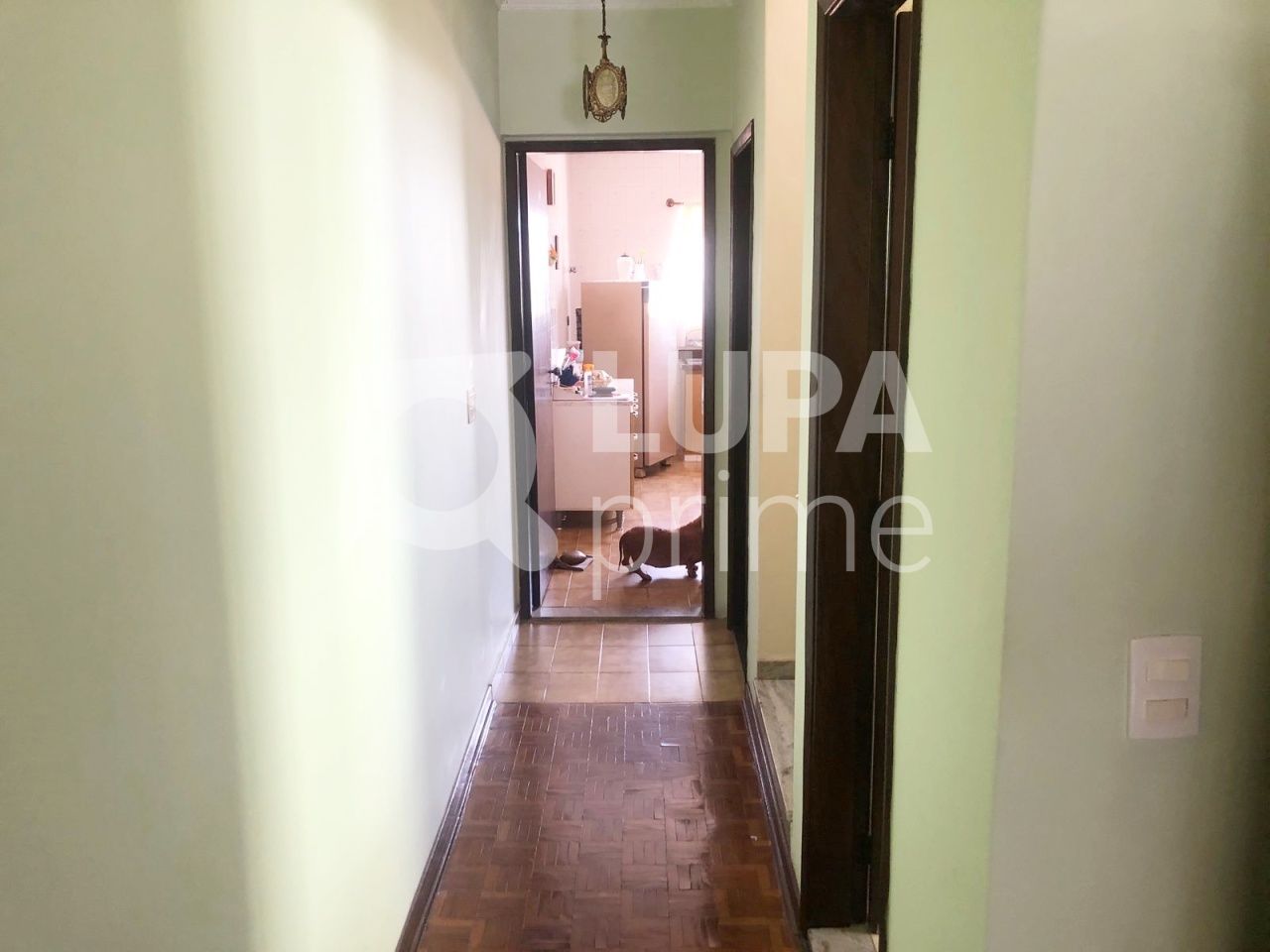 sobrado-venda-sao-paulo-vila-maria-alta-3dormitorios-1suite-4vagas-194m2-LS39373