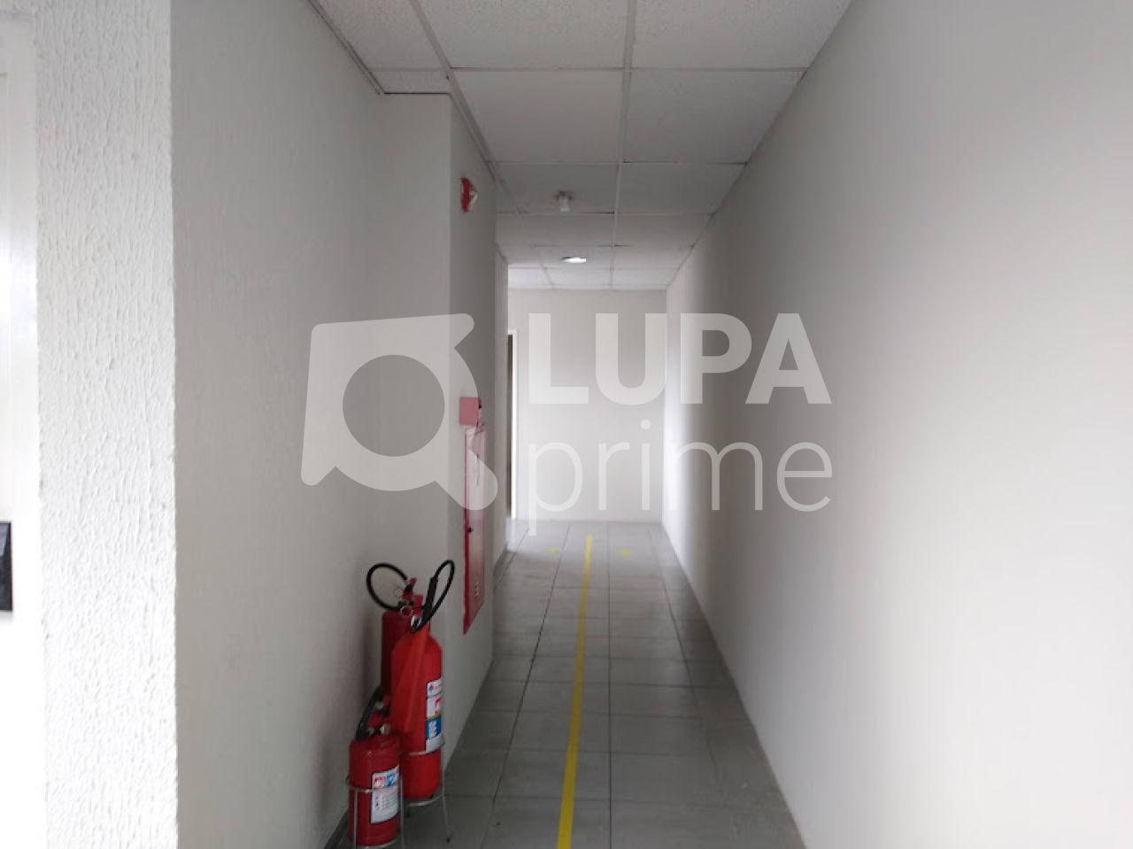 Prédio Inteiro, 4816 m² - Foto 13