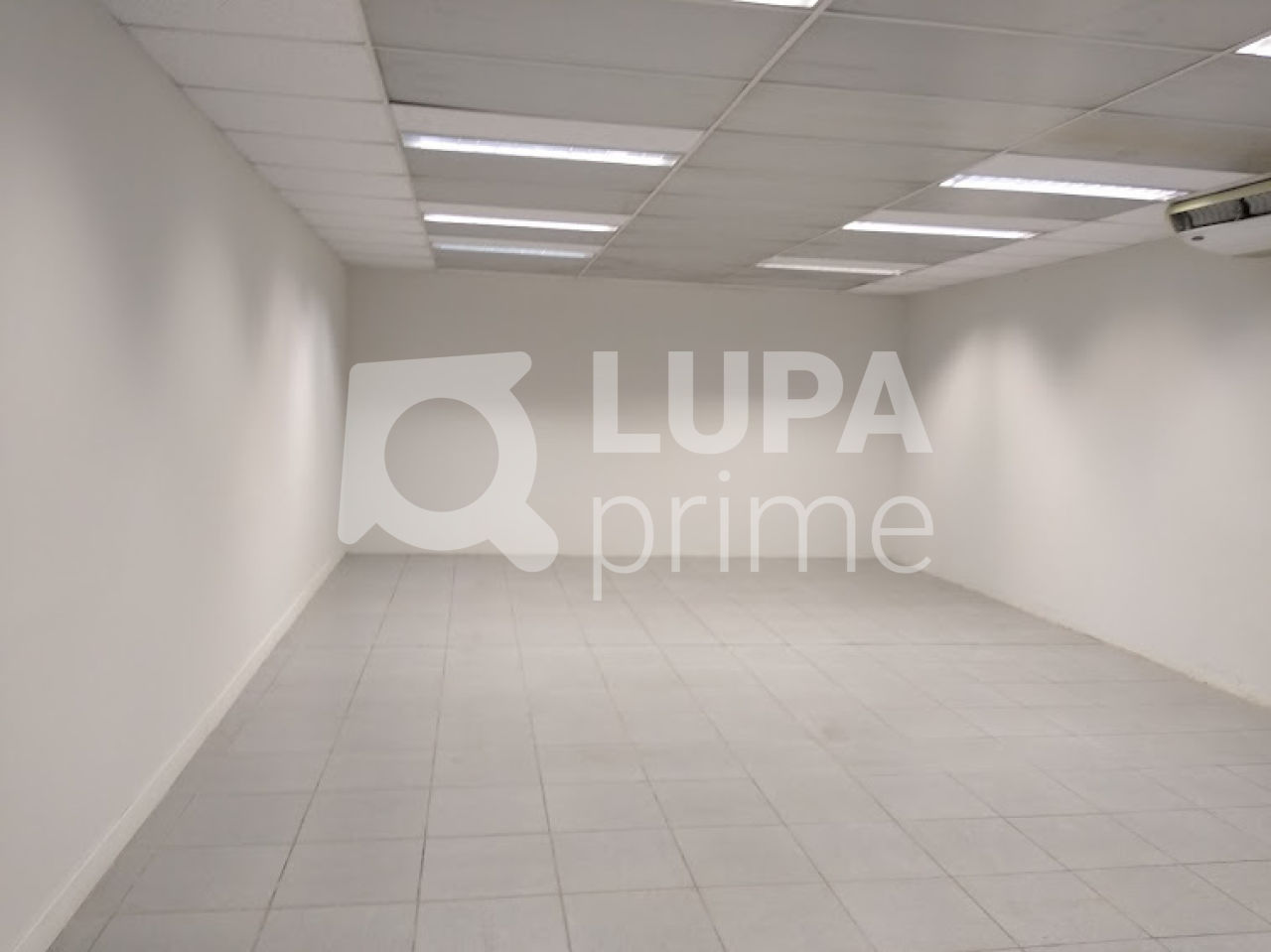 Prédio Inteiro, 4816 m² - Foto 14