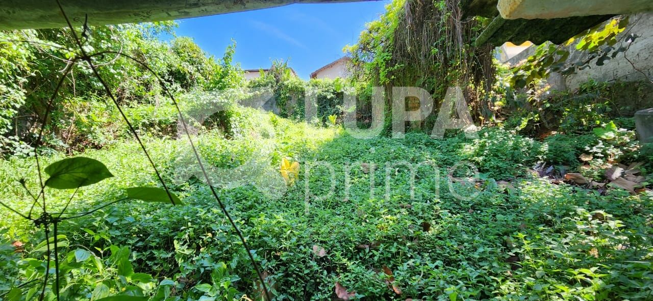 casa-terrea-venda-sao-paulo-horto-florestal-3dormitorios-3vagas-200m2-LS39503