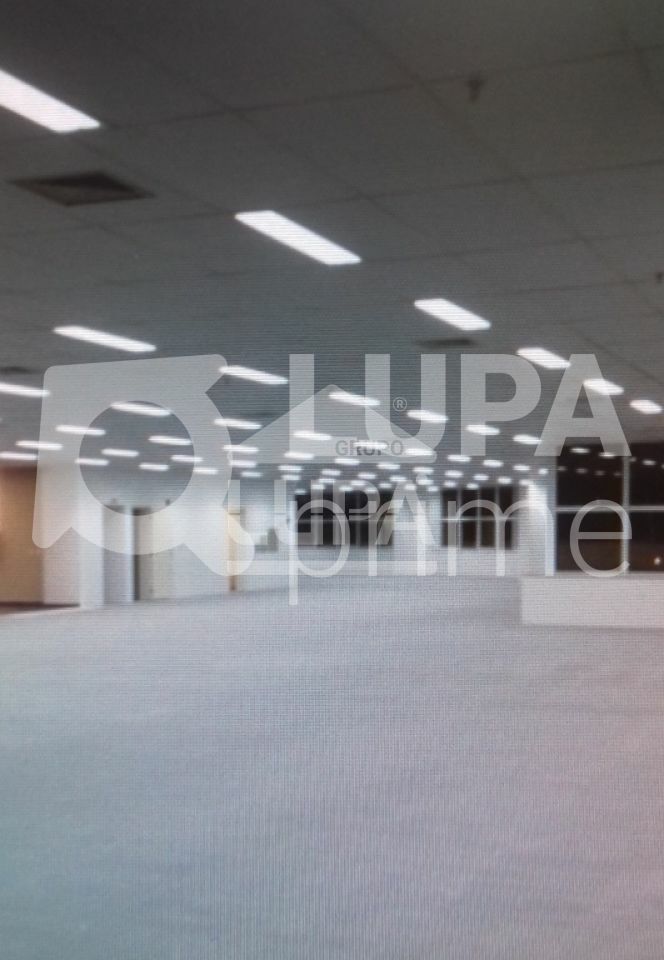 conj-comercial-locacao-sao-paulo-jardim-das-laranjeiras-230m2-LS39679