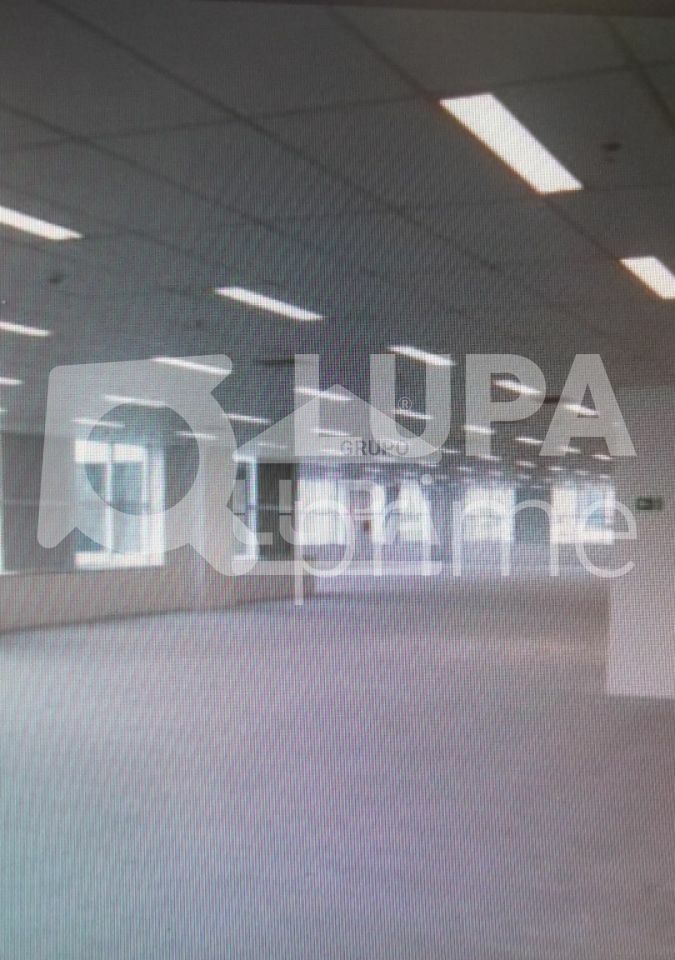 conj-comercial-locacao-sao-paulo-jardim-das-laranjeiras-230m2-LS39679