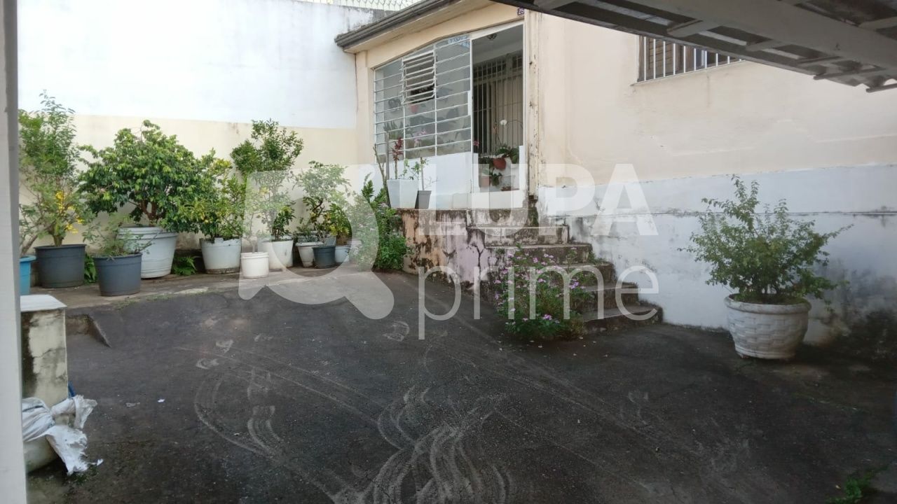 terreno-venda-sao-paulo-santa-teresinha-410m2-LS39707