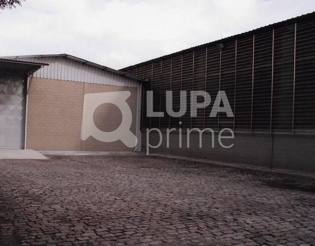 Depósito-Galpão, 4410 m² - Foto 7