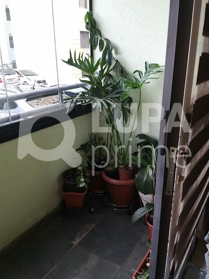 apartamento-venda-sao-paulo-vila-palmeiras-2dormitorios-1vaga-53m2-LS39790