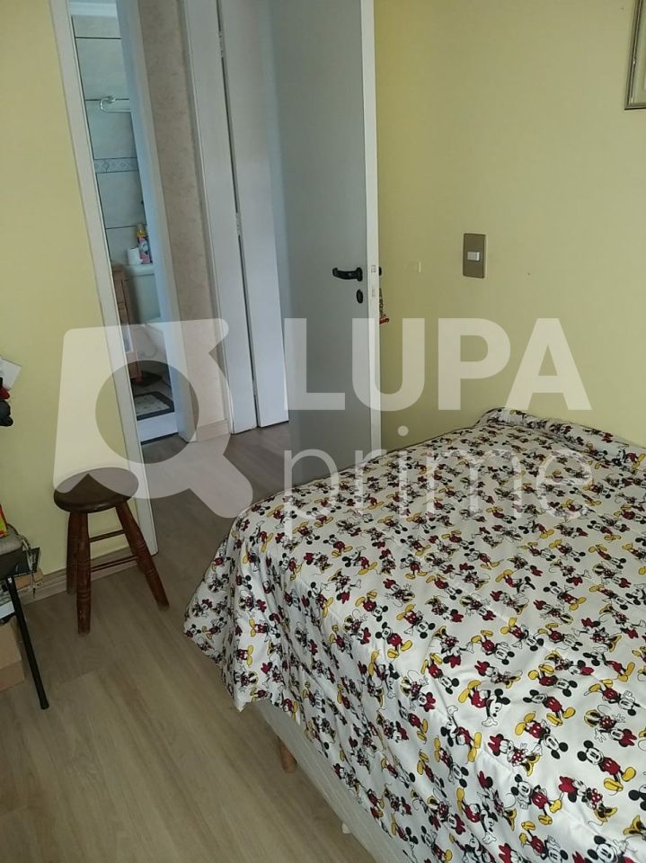 apartamento-venda-sao-paulo-vila-palmeiras-2dormitorios-1vaga-53m2-LS39790